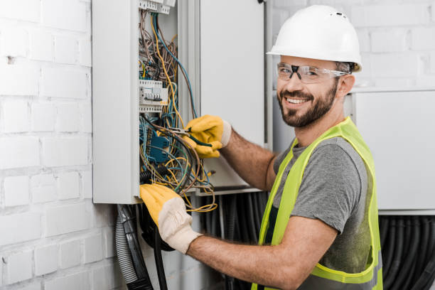 Best Generator Installation Services  in Virginia, IL