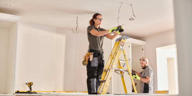 Best Electrical Repair Services  in Virginia, IL